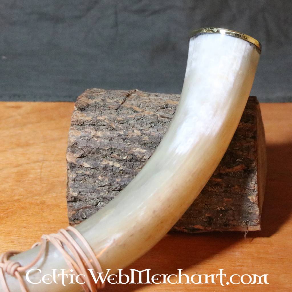 Early medieval signal horn