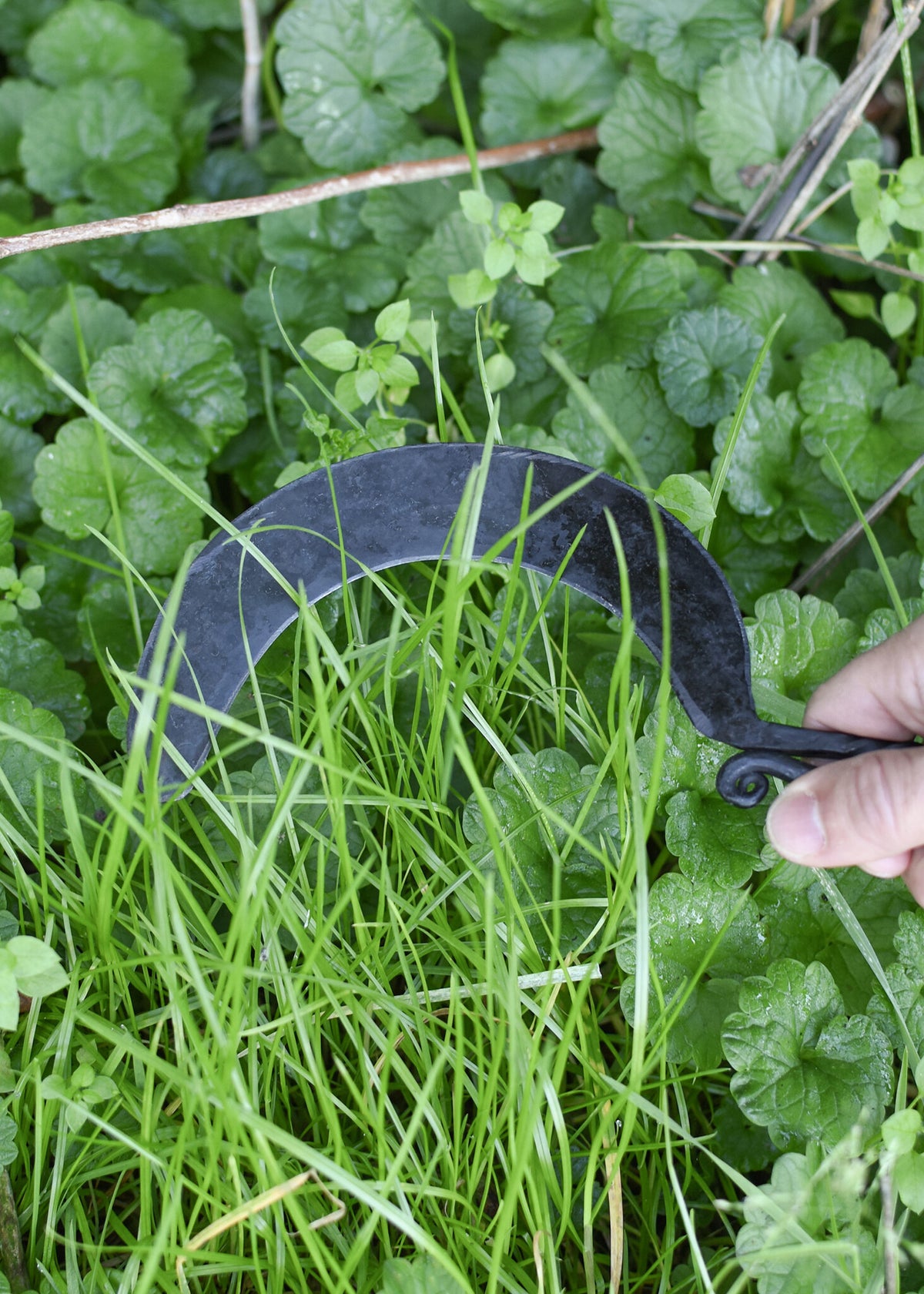 Hand-forged sickle