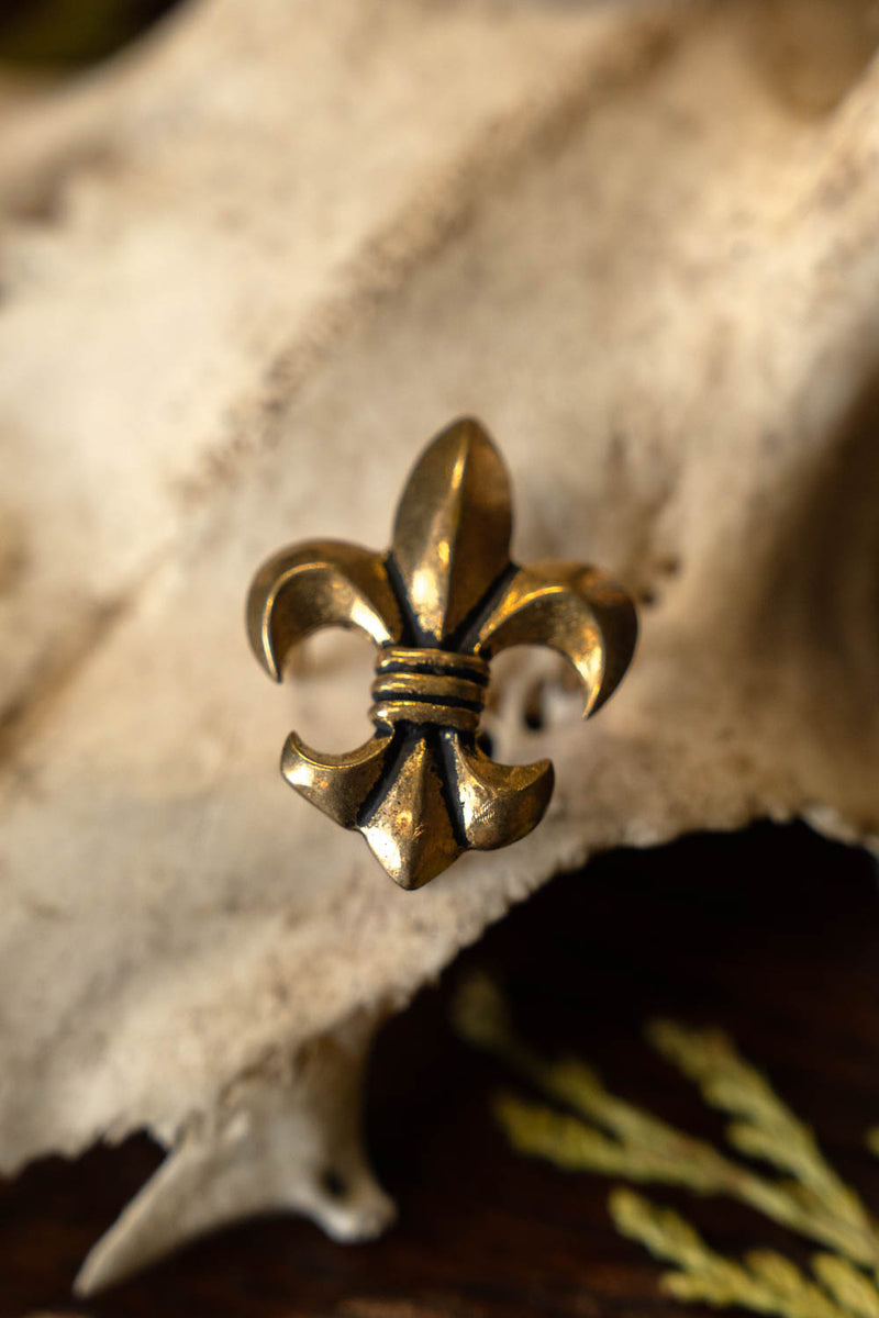 Fleur de Lys Riemenbeschlag, Set mit 5 Stück, Bronze