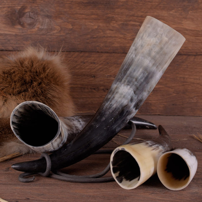 Drinking horn, several sizes