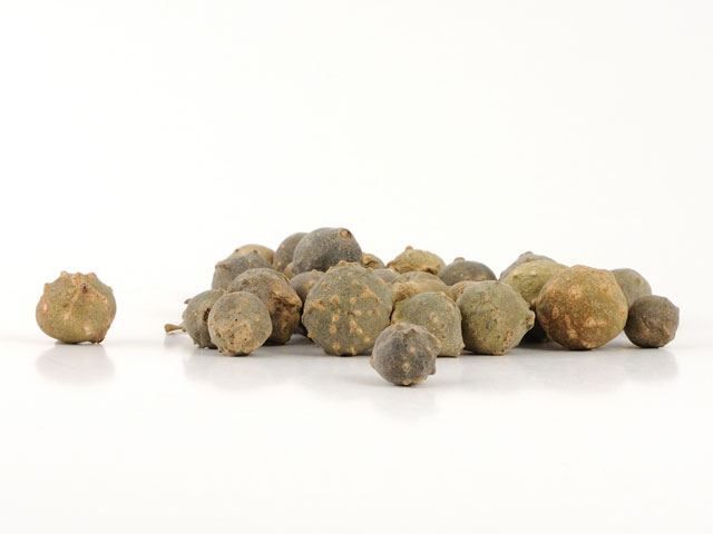 Gallnuts for ink (80 grams)
