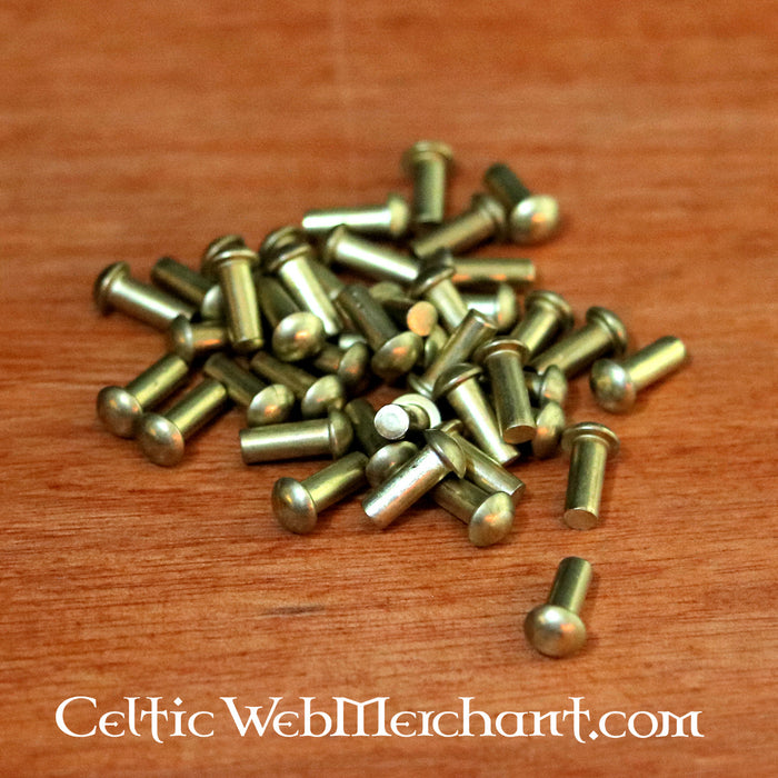 50 brass rivets 4 mm, short