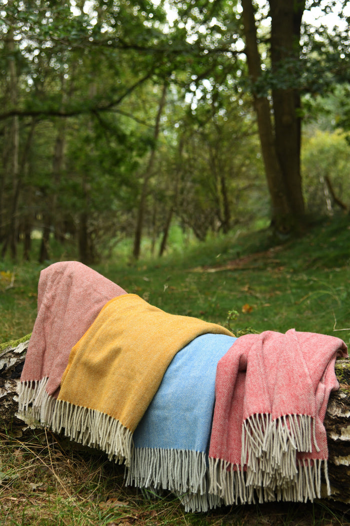 Germanic Iron Age cloak, wool, blue