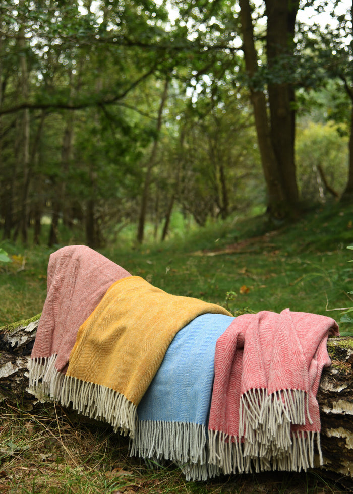 Germanic Iron Age cloak, wool, blue