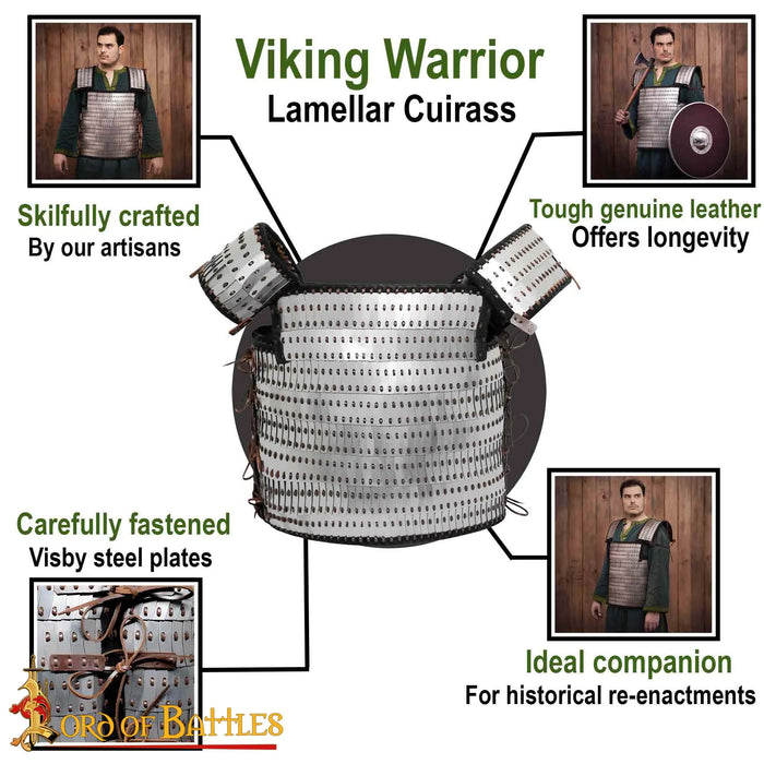 Viking lamellar armour Visby