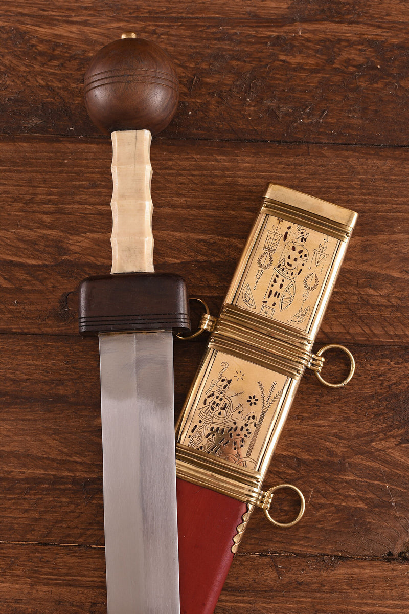 Gladio di Mario, tipo Pompeii, semi-affilato