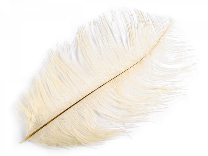 Cream feather, 20-25 cm