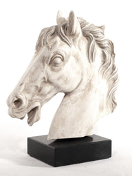 Sculpture Bucephalus, horse of Alexander the Great, Alabaster plaster