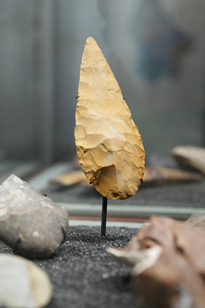 Introduzione: Europa del Tardo Paleolitico